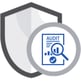 Compliance & Audit Support-  ICON