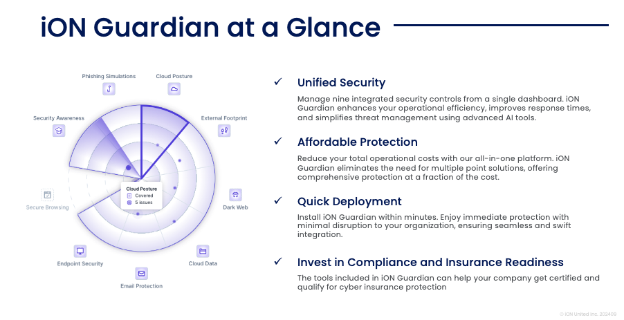 iON Guardian at a glance