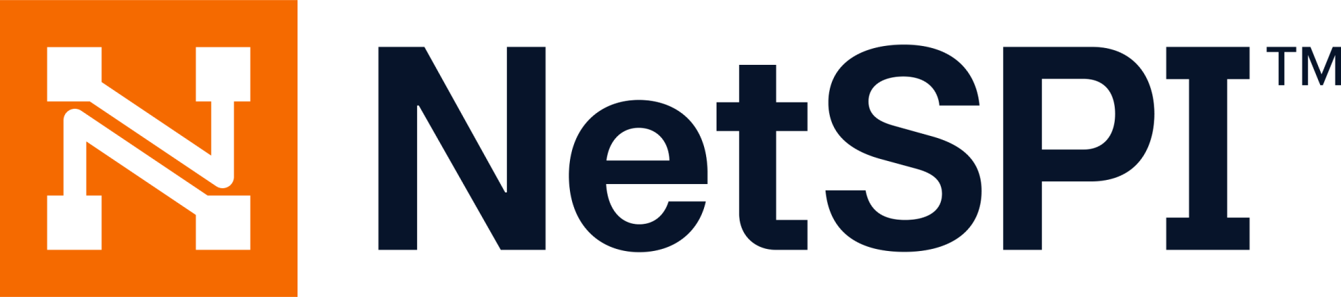 netspi_1714505053313